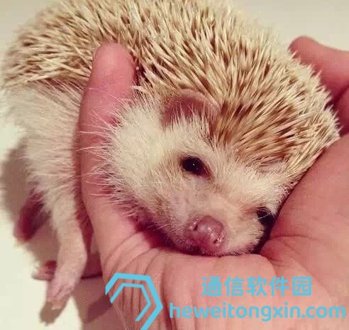 2025香港免費(fèi)精準(zhǔn)資料，助你輕松中大獎(jiǎng)！