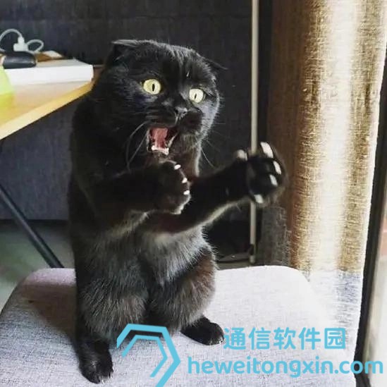 香港最準(zhǔn)100‰一肖:權(quán)威解讀與最新預(yù)測(cè),精準(zhǔn)參考不可錯(cuò)過(guò)