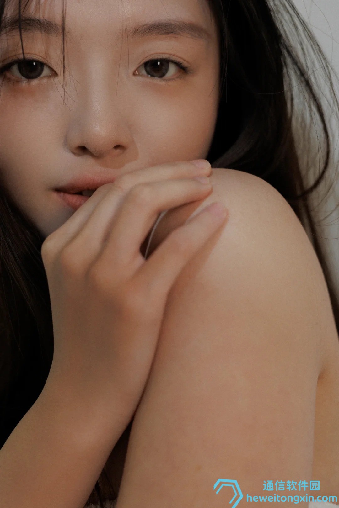 澳門正版跑狗圖最新版本評測：更新內容與使用體驗