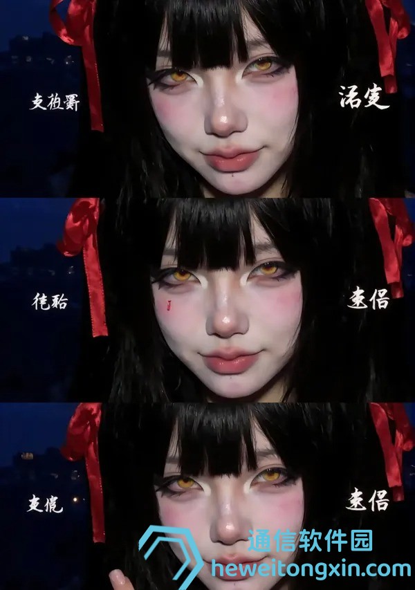 回顧收藏：2005新澳正版原料大全，珍貴資料一次看全