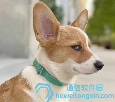 獨(dú)家發(fā)布：2025年067期特馬資料預(yù)測與命中率回顧，高手點(diǎn)評