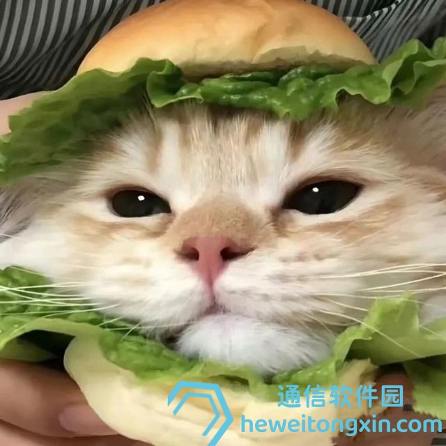 一夜熱搜：2025年新澳門特馬今晚開，專家解讀最可能號碼！