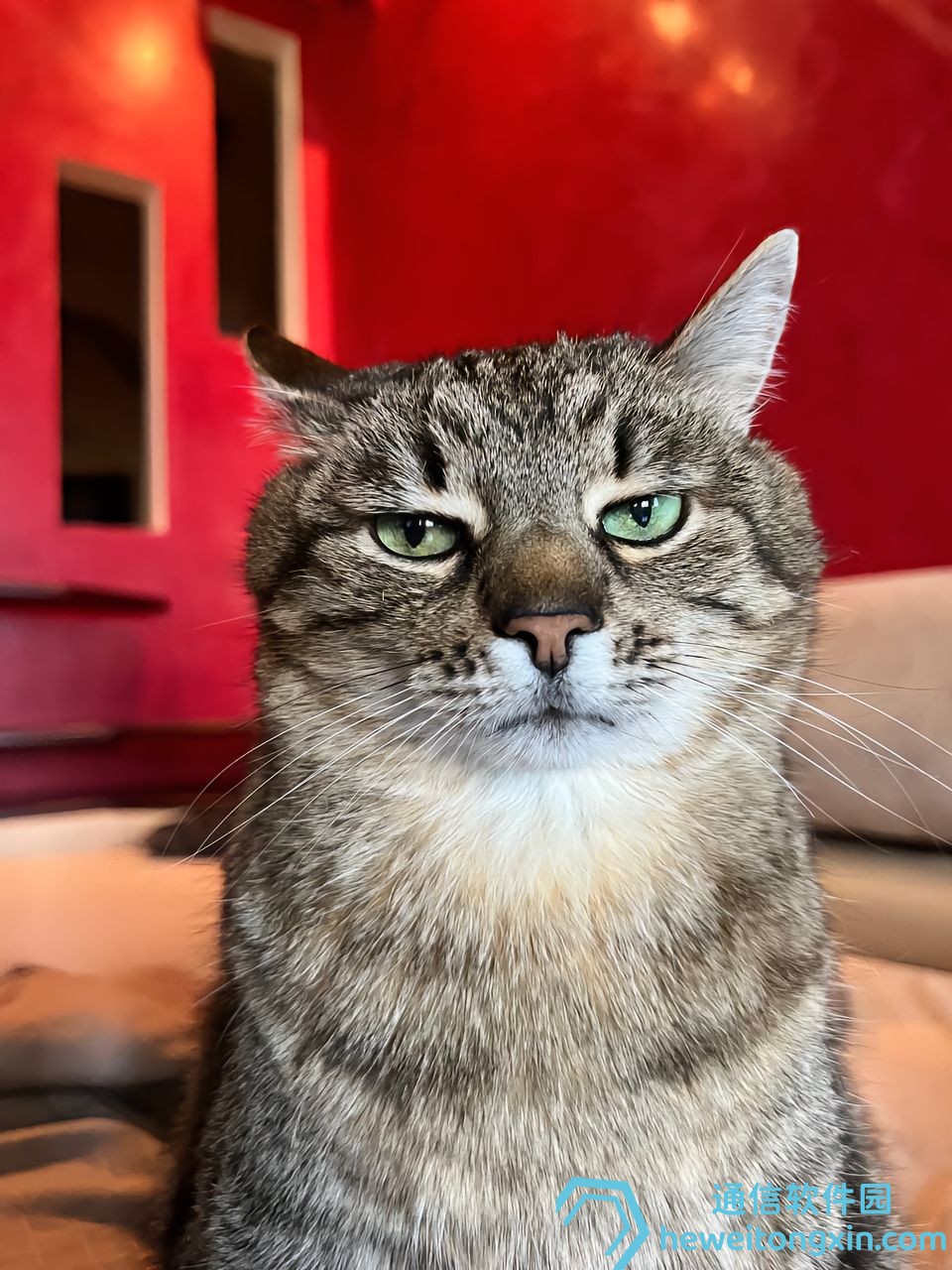 超全導(dǎo)航:246天天好彩944cc天贏彩平臺解析、熱門板塊與使用技巧