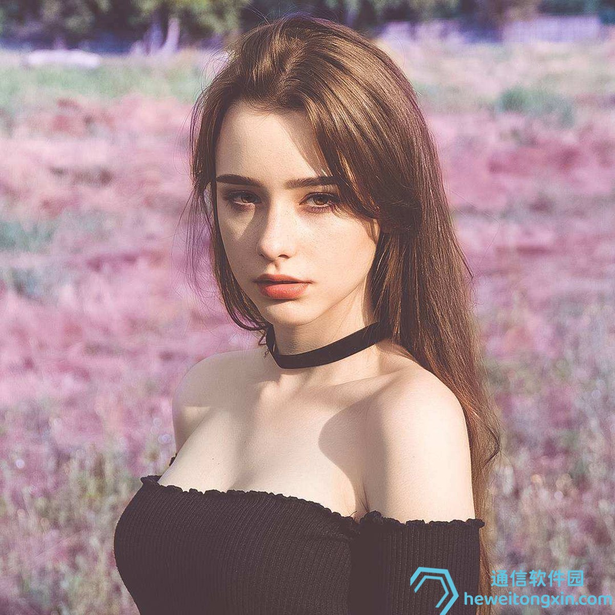 查詢神器：澳門天天彩歷史開獎記錄完整歸檔，快速查號攻略